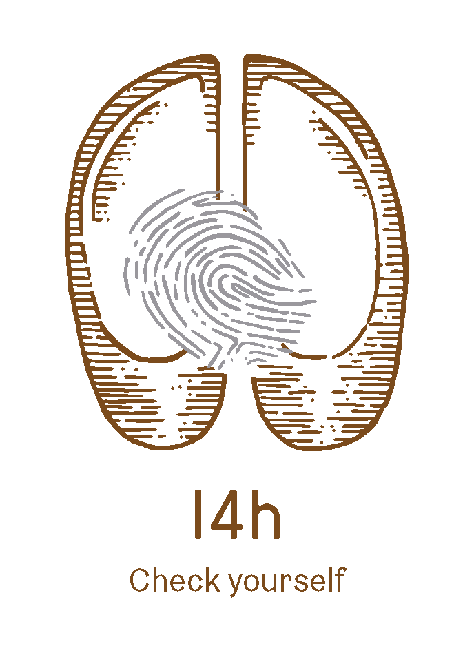 Logo l4h